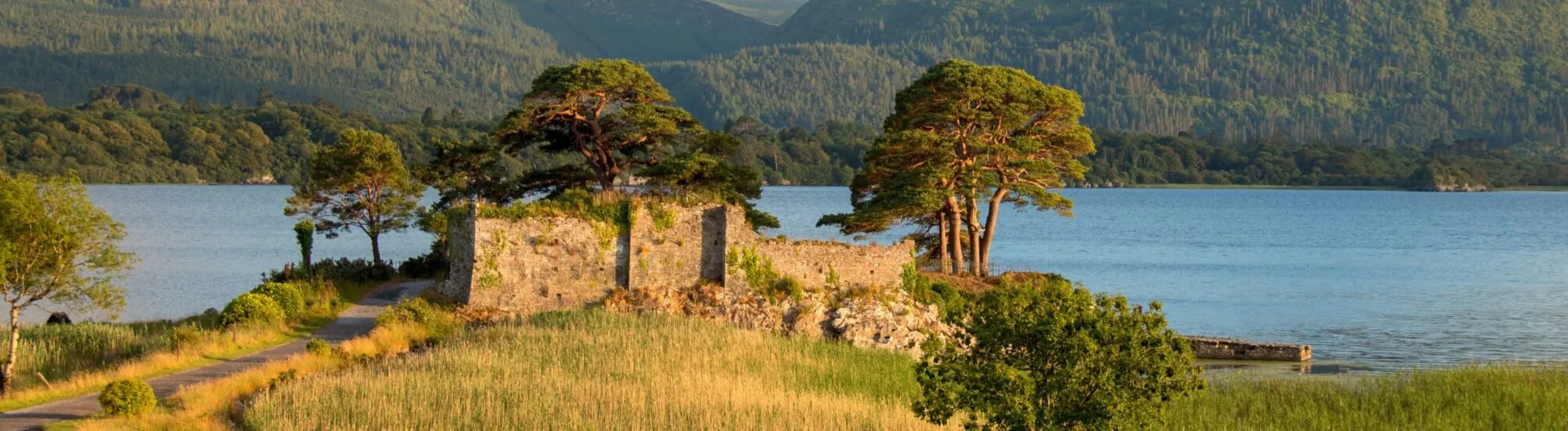 Le McCarthy&rsquo;s Castle