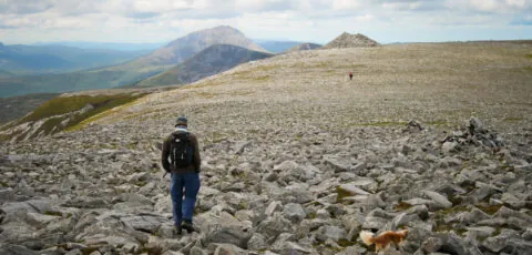 muckish mountain