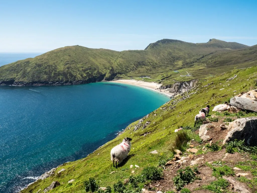 La Keem Beach - © mark_gusev