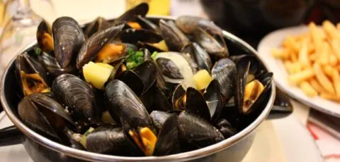 moules cidre scaled