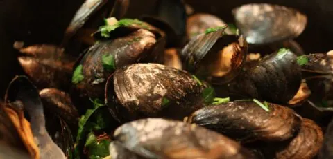 moules marinieres scaled