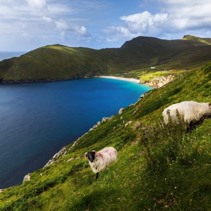 Paysage côtier d’Achill Island en Irlande