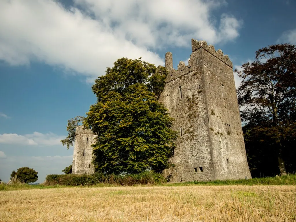 Le Burnchurch Castle - Simonak – cc
