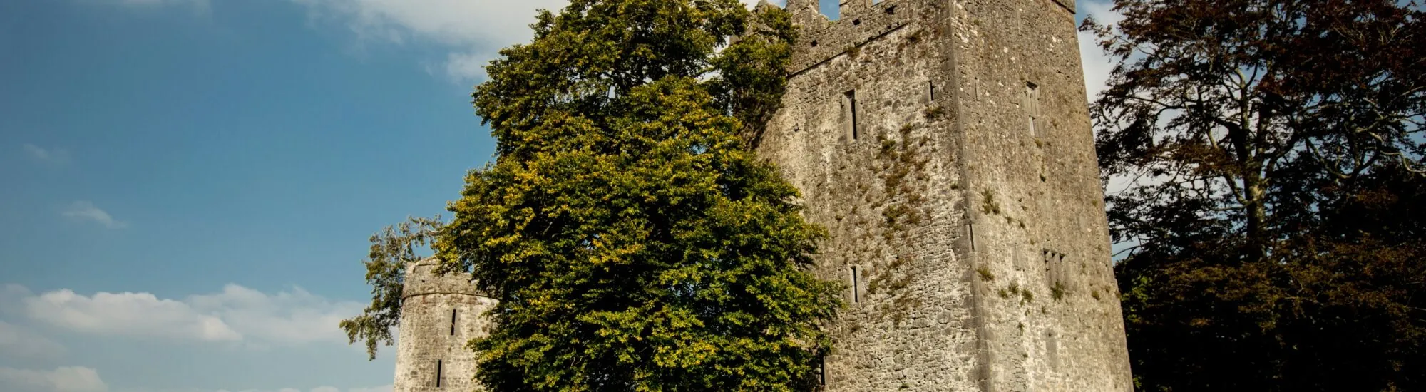 Le Burnchurch Castle