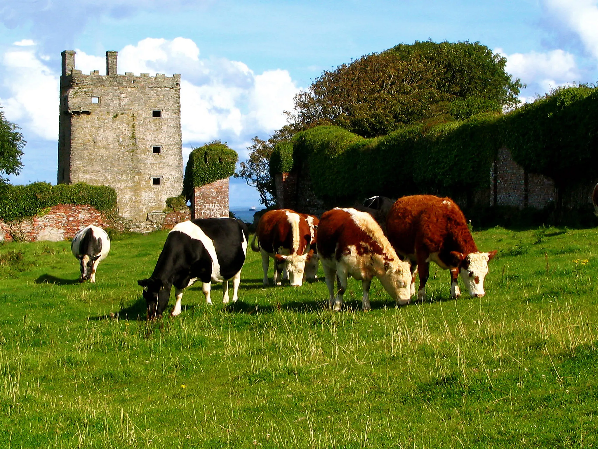 Le Carrigaholt Castle - mooncross - cc