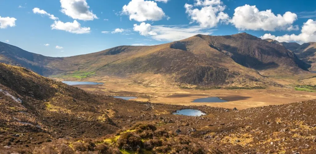 Langues en Irlande