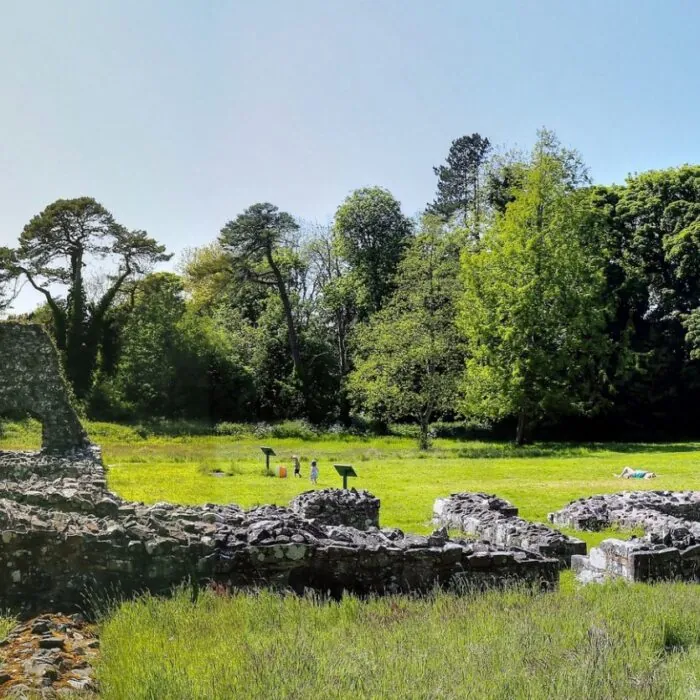 La Grey Abbey - BangorArt - cc