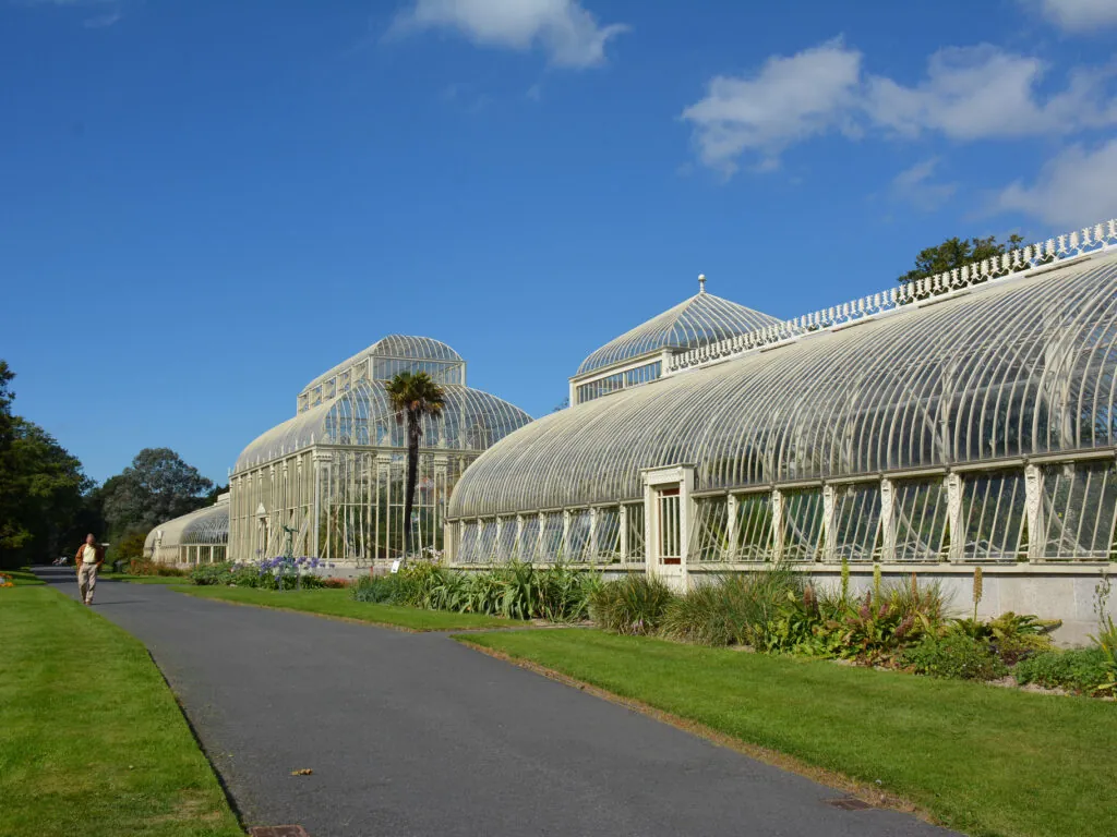 Le National Botanic gardens de Glasnevin - Simon - cc