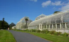 Le National Botanic gardens de Glasnevin - Simon - cc