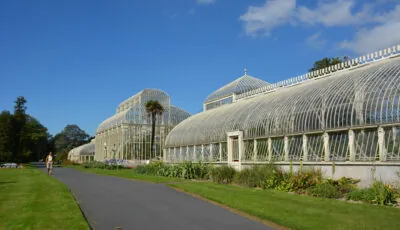 Le National Botanic gardens de Glasnevin - Simon - cc