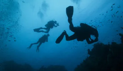 La plongée sous-marine en Irlande