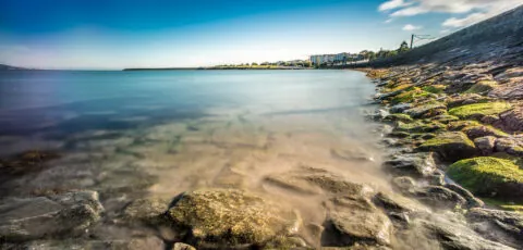 seapoint 1