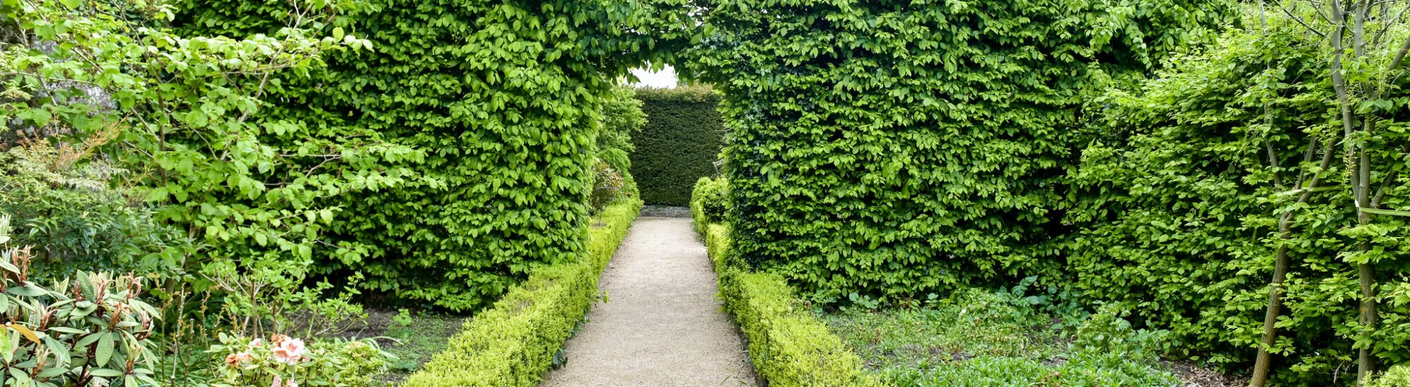 Altamont Garden