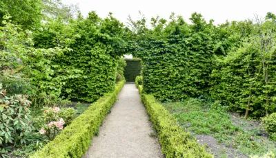 Altamont Gardens - Sean Rowe - cc
