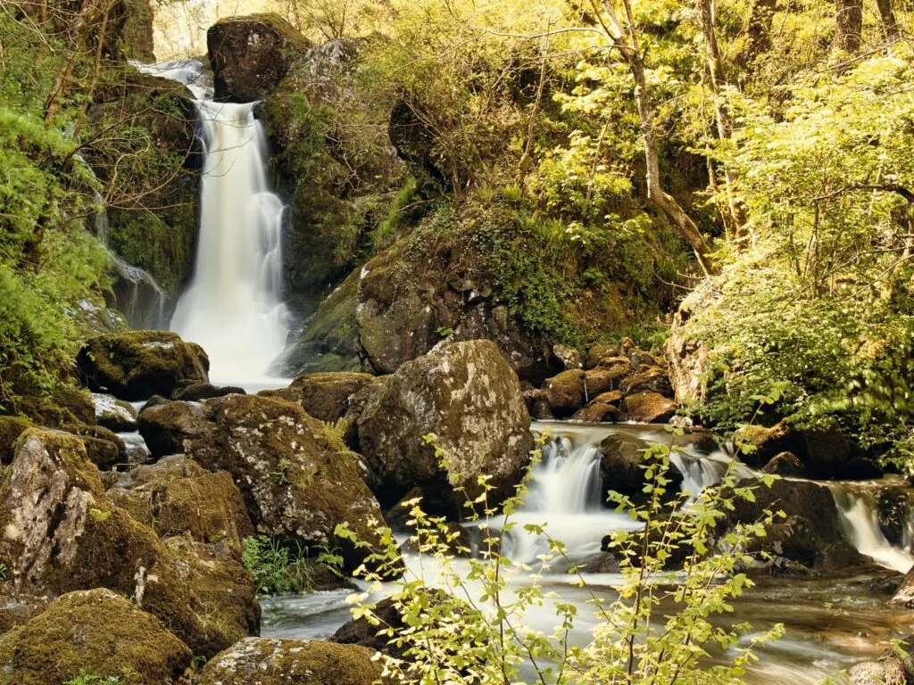 Devil's Glen - © leo