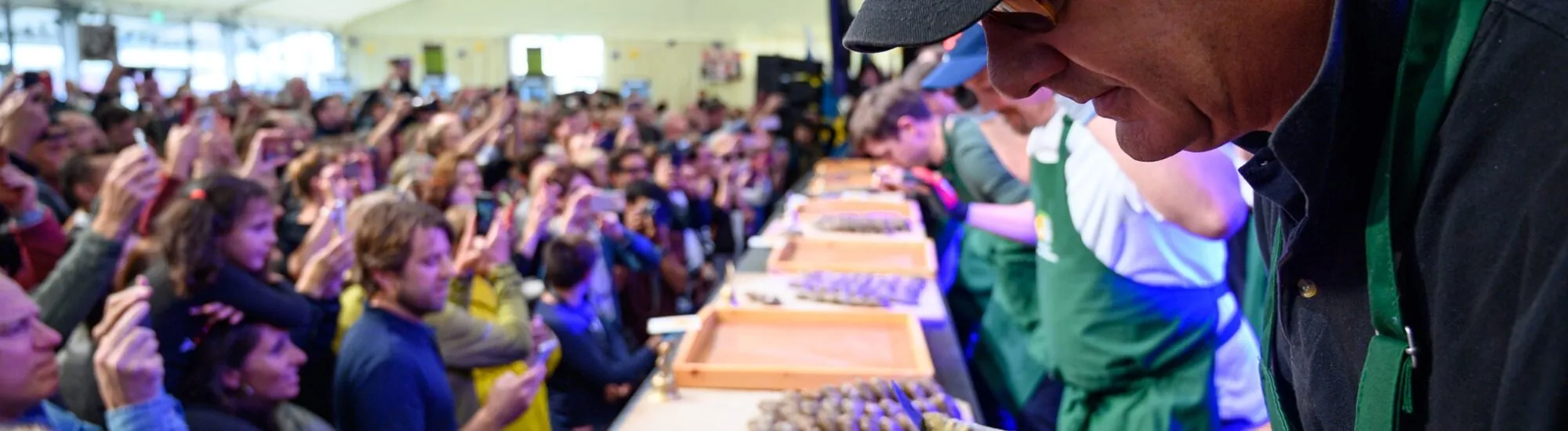 Le Galway Oyster Festival