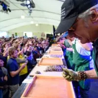 galway international oyster festival