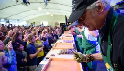 Le Galway Oyster Festival