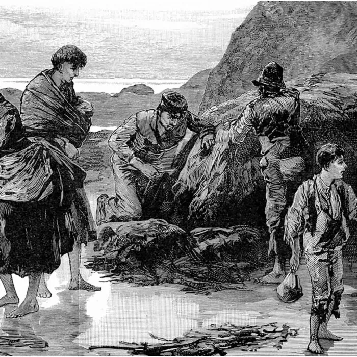Une scène de la Grande Famine irlandaise - Domaine public