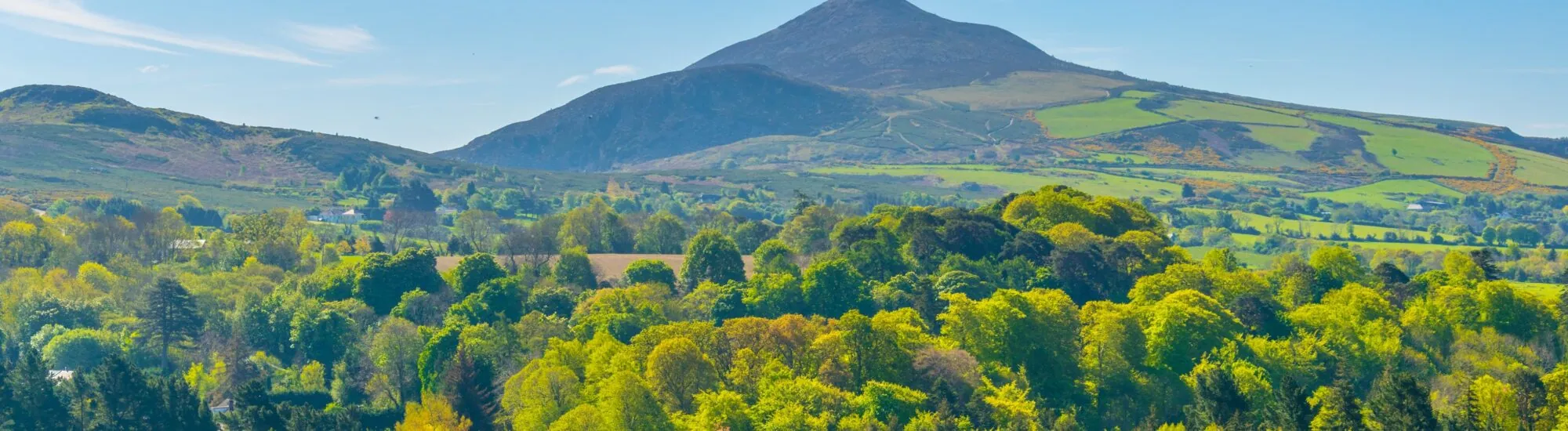 Le Great Sugar Loaf