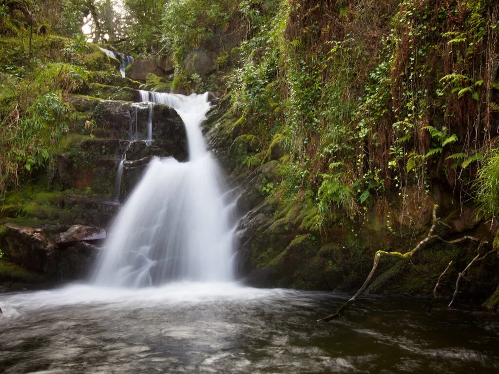 La O'Sullivan Cascade - Michael Foley - CC