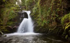 La O'Sullivan Cascade - Michael Foley - CC
