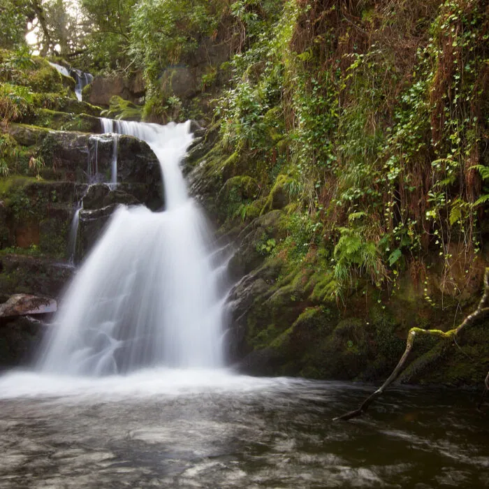 La O'Sullivan Cascade - Michael Foley - CC