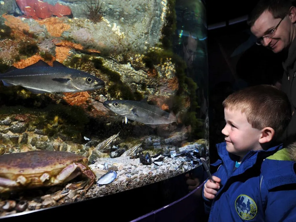 Le Riverwatch Aquarium - https://discovernorthernireland.com