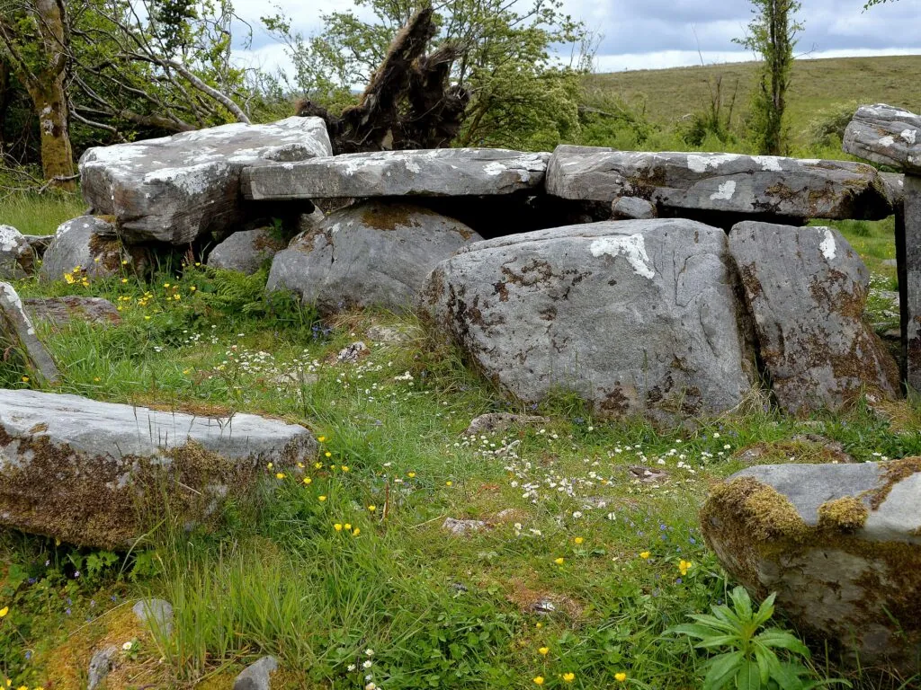 Le Cavan Burren Park - Keith Ewing - cc