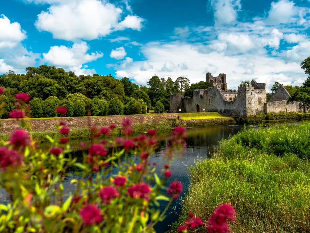 Le Desmond castle - © Lyd Photography