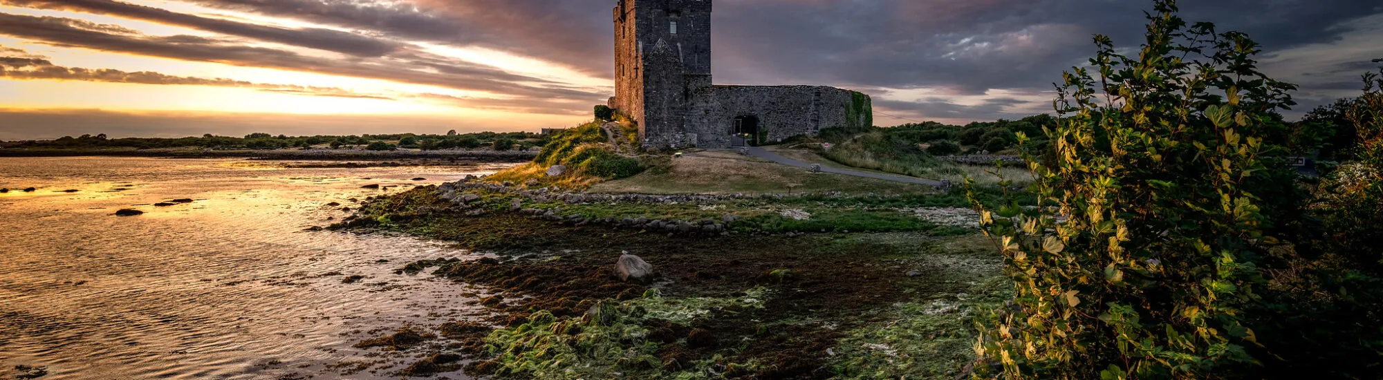 Le Dunguaire Castle
