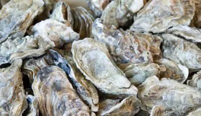 Le West Waterford Festival of Food