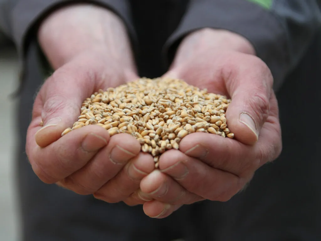 Aidez les agriculteurs locaux ! - Rural Matters - cc