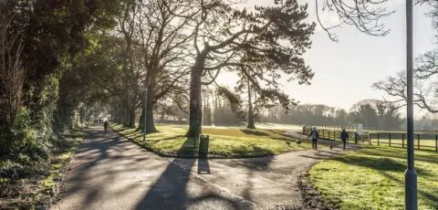 malahide park 1