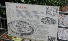 Le Beal Boru
