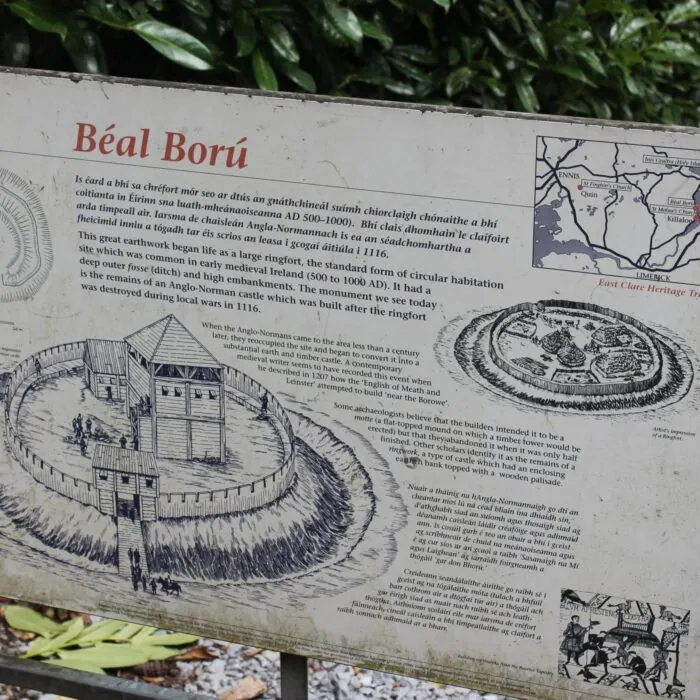 Le Beal Boru