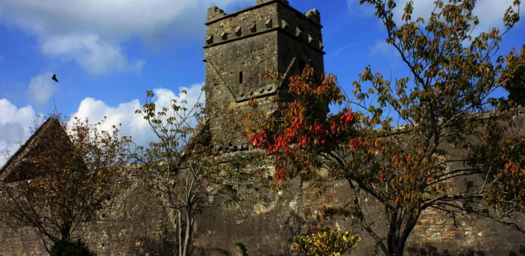 dunmore abbey 1 scaled