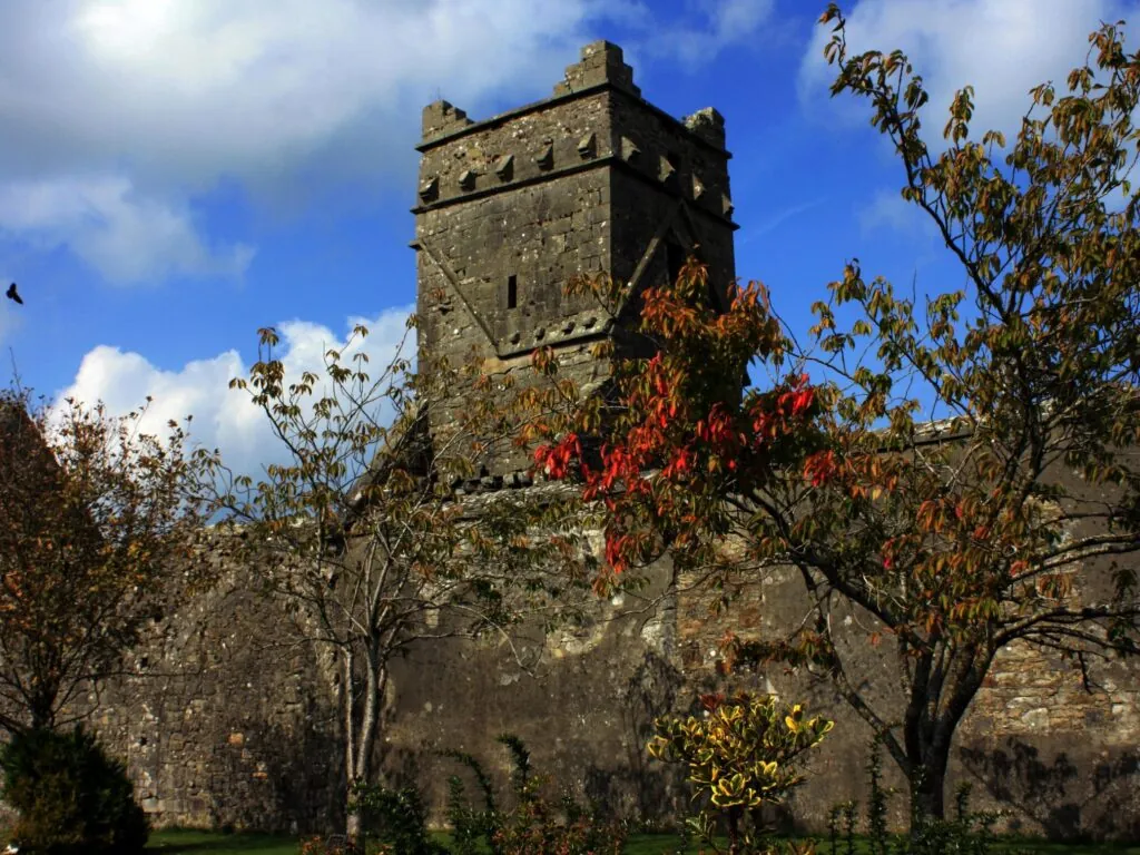 La Dunmore Abbey - DanielECDalton - cc