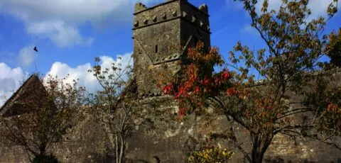 dunmore abbey 1 scaled