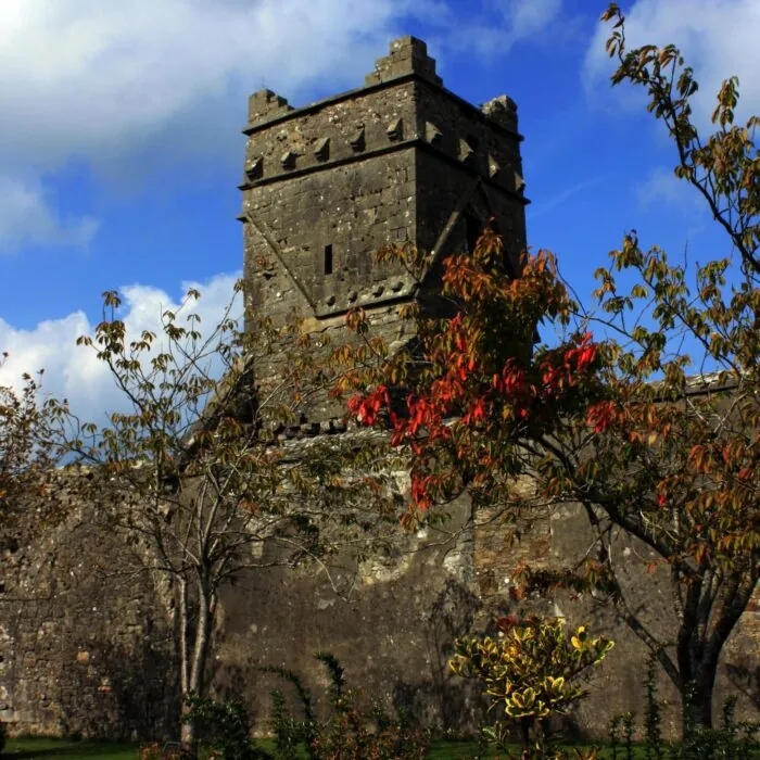La Dunmore Abbey - DanielECDalton - cc