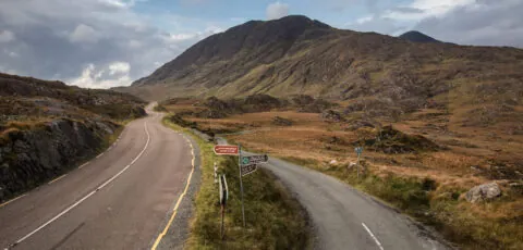 molls gap 2