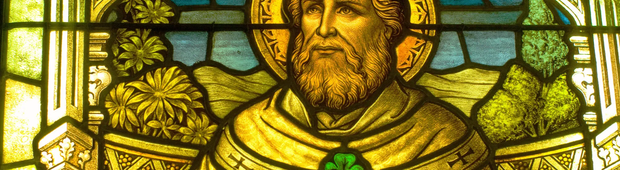 Vie de Saint Patrick