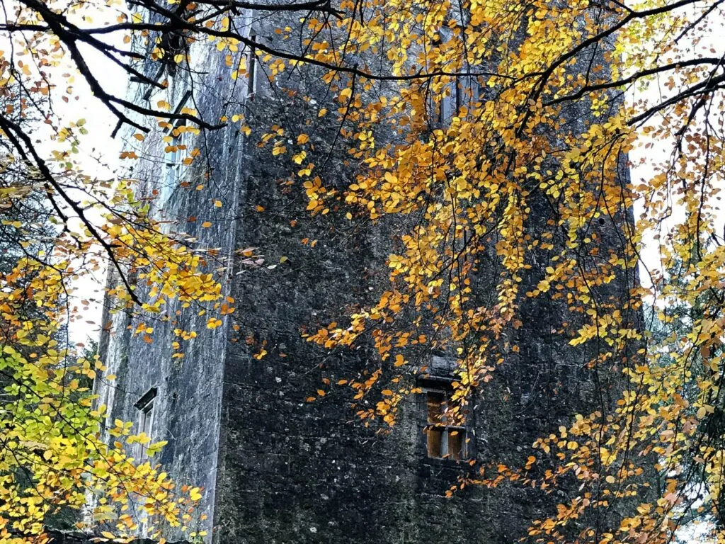 Le Dunsandle Castle