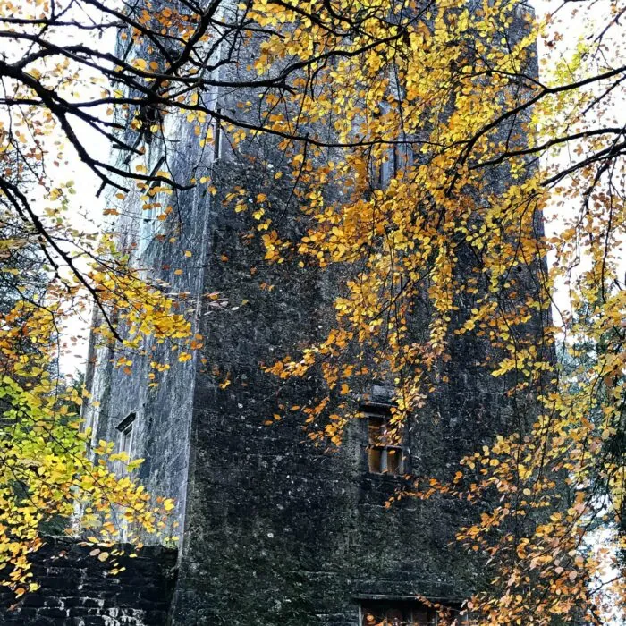 Le Dunsandle Castle