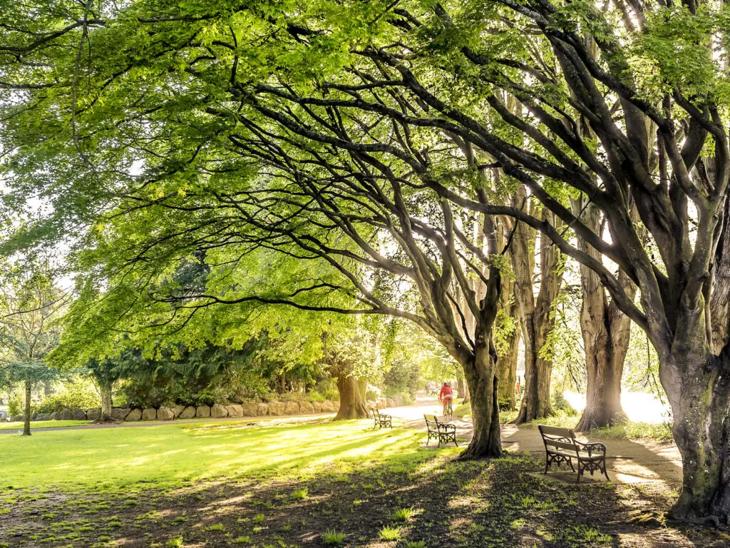 Le Fitzgerald park de Cork - Vincent Moschetti - cc