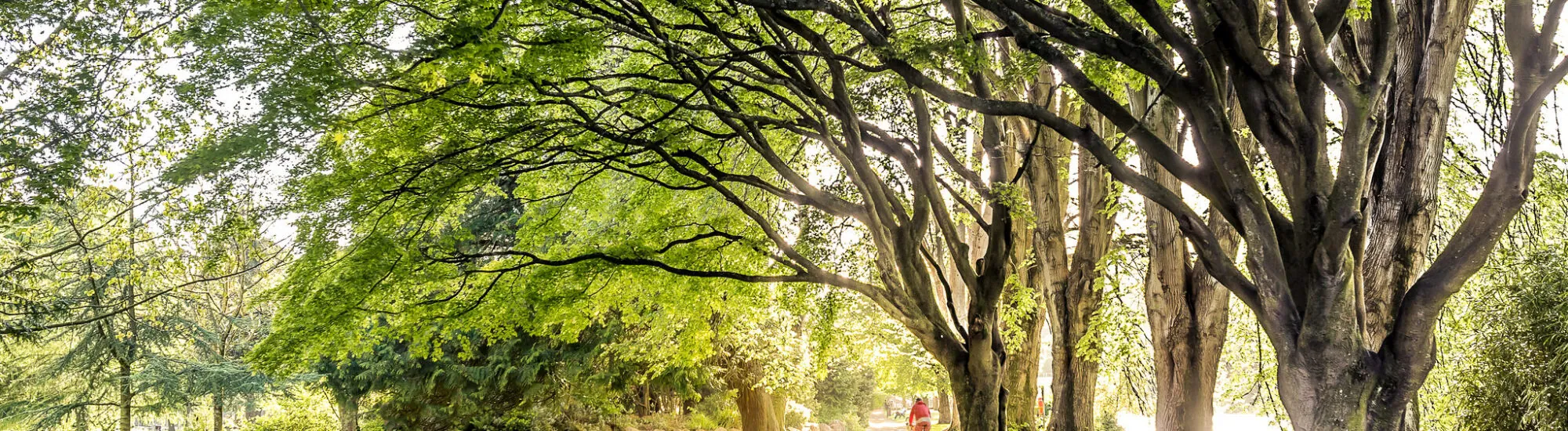 Le Fitzgerald Park