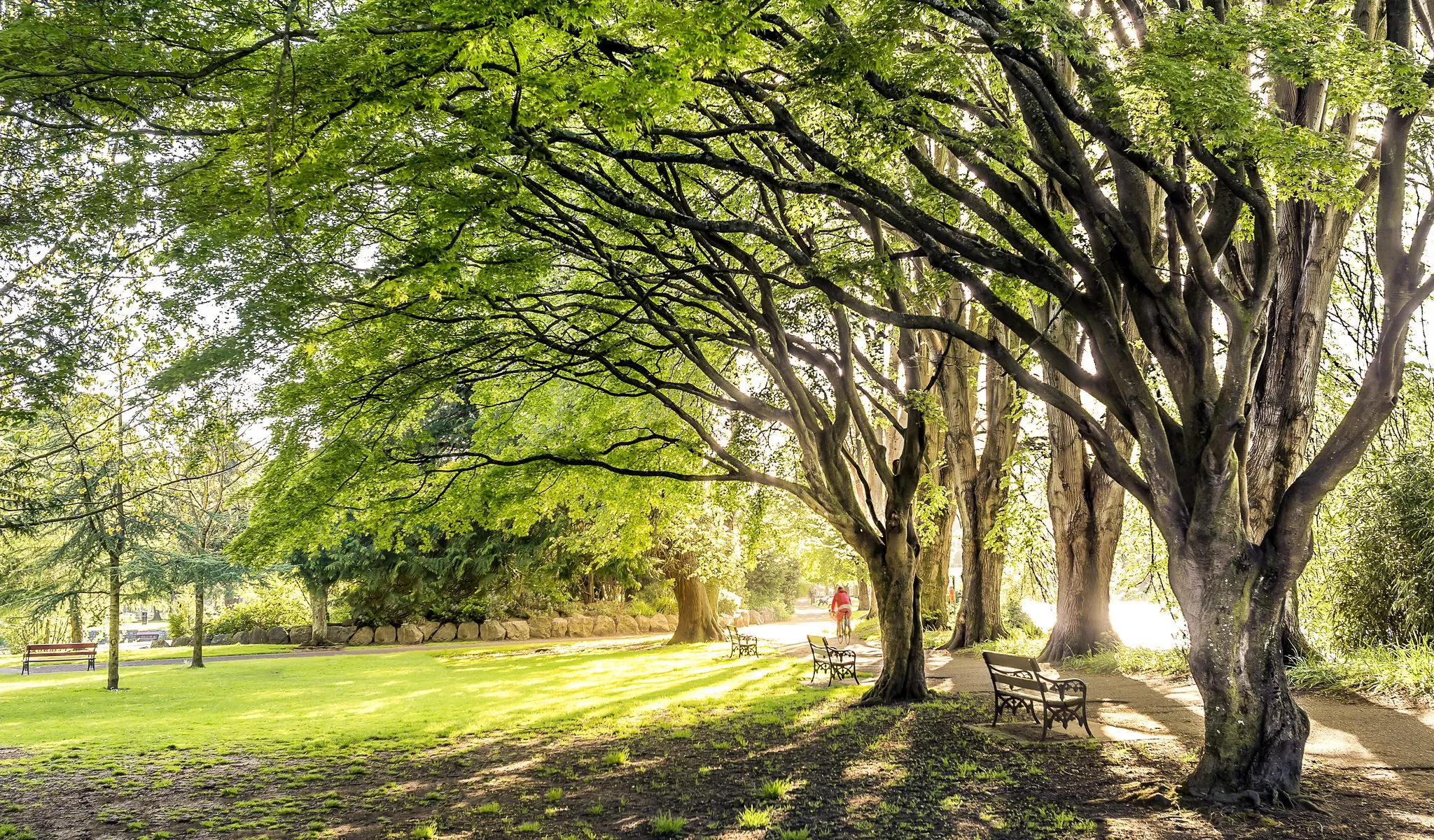 Le Fitzgerald park de Cork - Vincent Moschetti - cc