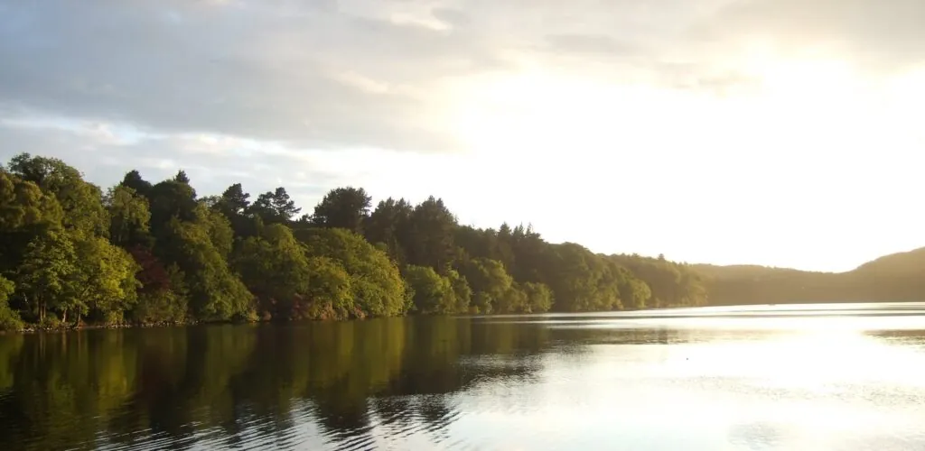 castlewellan park