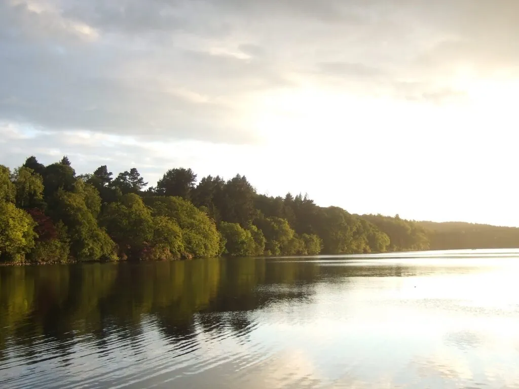 Le Castlewellan Park - Stephen Trew - cc