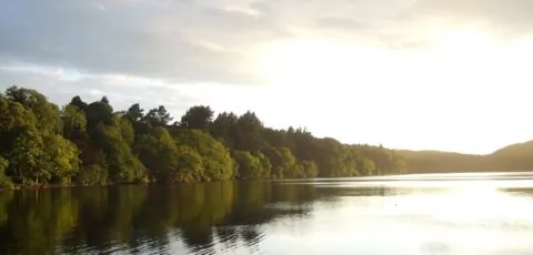 castlewellan park
